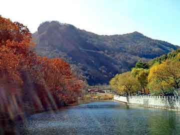 好声音选手毕夏车祸 半年开颅两次,好声音毕夏现在干什么